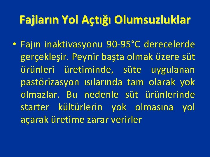 Fajların Yol Açtığı Olumsuzluklar • Fajın inaktivasyonu 90 -95°C derecelerde gerçekleşir. Peynir başta olmak