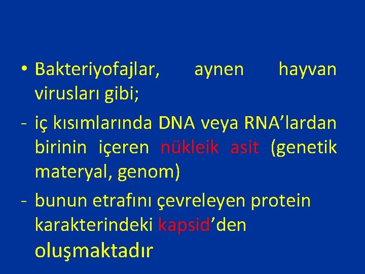  • Bakteriyofajlar, aynen hayvan virusları gibi; - iç kısımlarında DNA veya RNA’lardan birinin