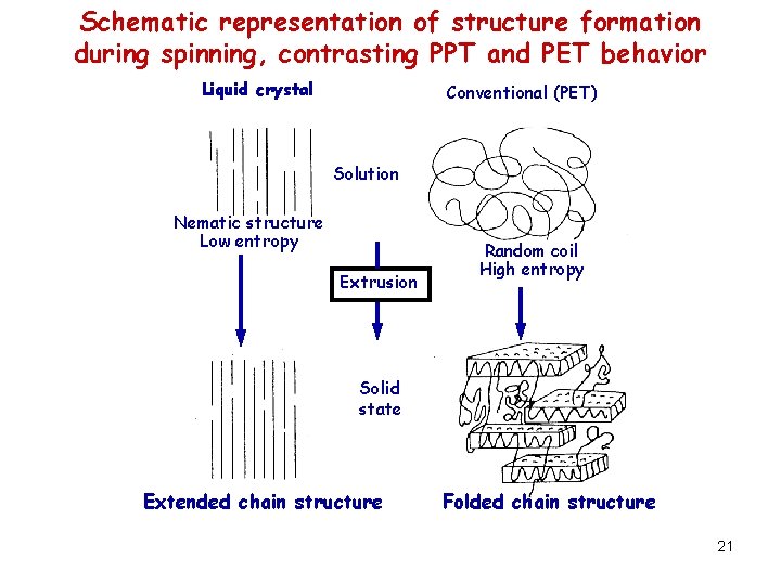 Schematic representation of structure formation during spinning, contrasting PPT and PET behavior Liquid crystal