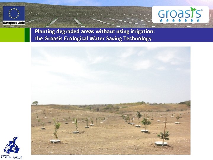 Planting degraded areas without using irrigation: the Groasis Ecological Water Saving Technology 