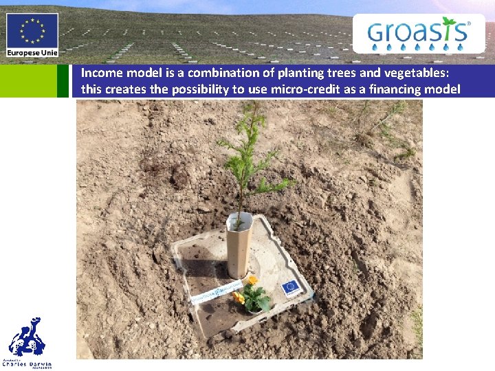 Income model is a combination of planting trees and vegetables: this creates the possibility