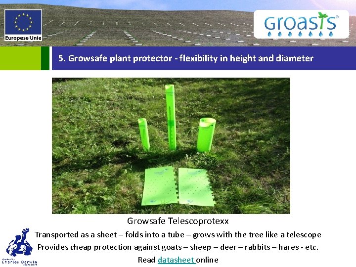5. Growsafe plant protector - flexibility in height and diameter Growsafe Telescoprotexx Transported as