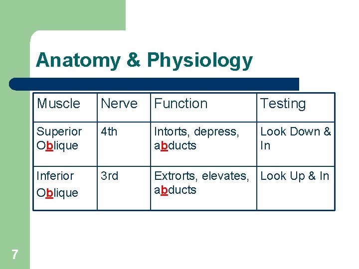 Anatomy & Physiology 7 Muscle Nerve Function Testing Superior Oblique 4 th Intorts, depress,