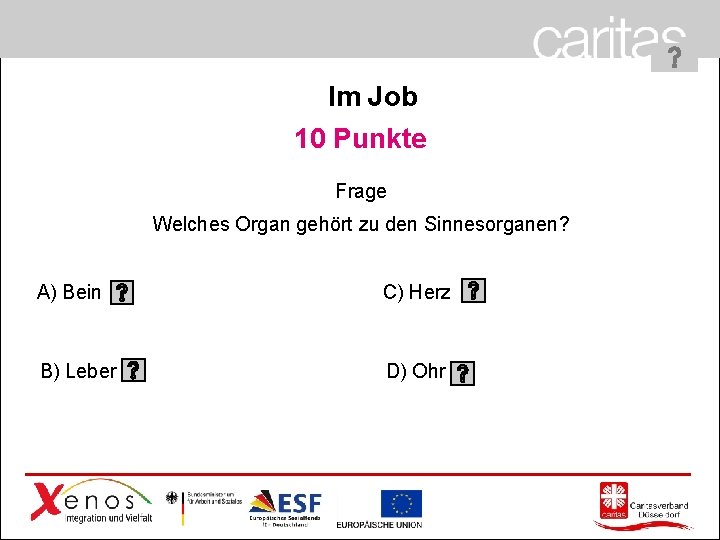 Im Job 10 Punkte Frage Welches Organ gehört zu den Sinnesorganen? A) Bein C)