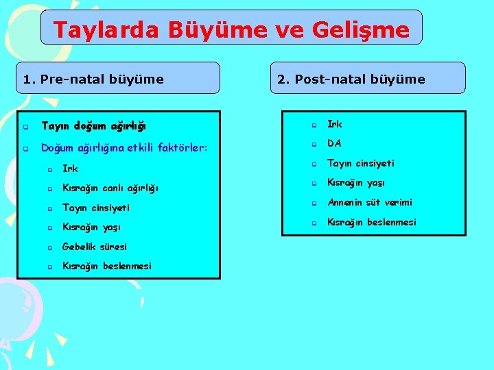 Taylarda Büyüme ve Gelişme 1. Pre-natal büyüme 2. Post-natal büyüme q Tayın doğum ağırlığı