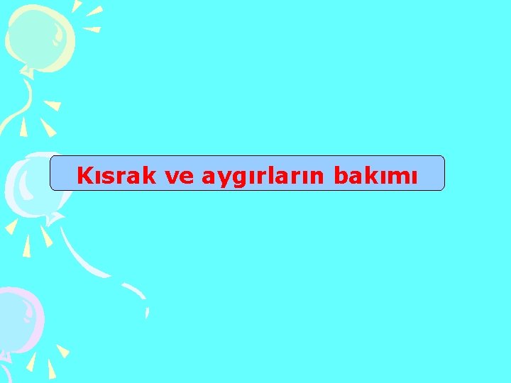 Kısrak ve aygırların bakımı 