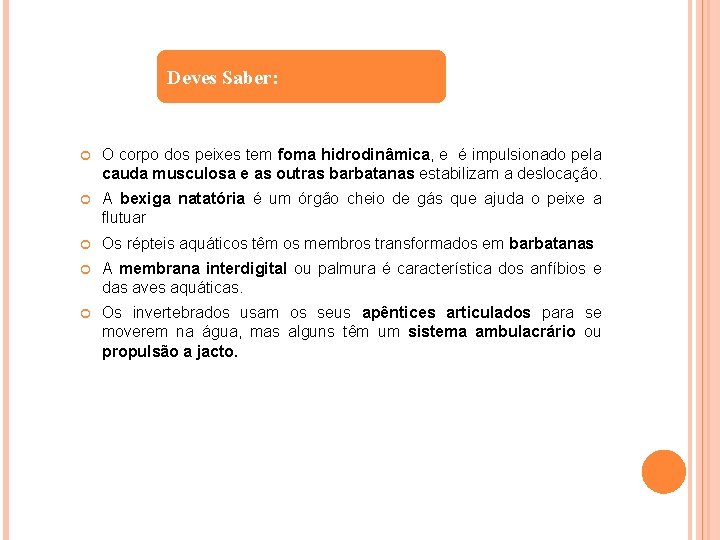 Deves Saber: O corpo dos peixes tem foma hidrodinâmica, e é impulsionado pela cauda