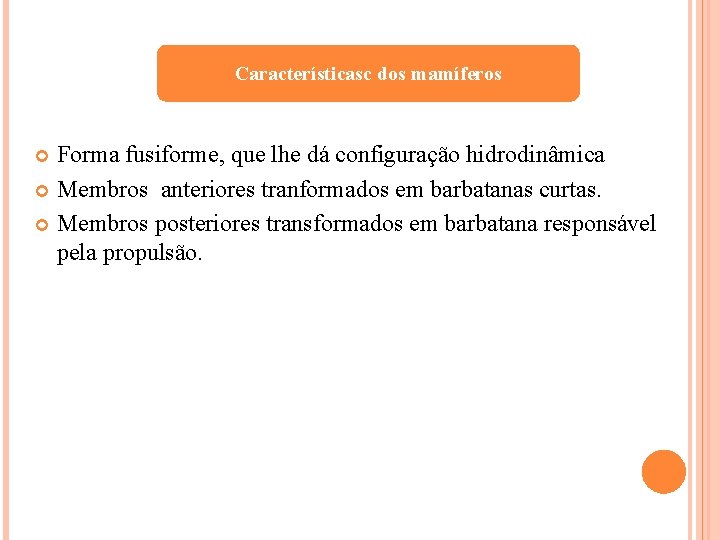 Característicasc dos mamíferos Forma fusiforme, que lhe dá configuração hidrodinâmica Membros anteriores tranformados em