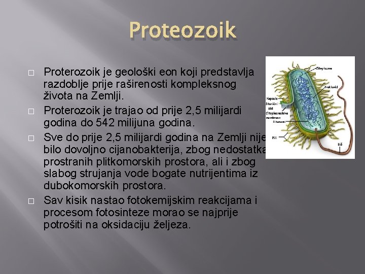 Proteozoik � � Proterozoik je geološki eon koji predstavlja razdoblje prije raširenosti kompleksnog života