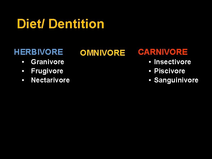 Diet/ Dentition HERBIVORE • Granivore • Frugivore • Nectarivore OMNIVORE CARNIVORE • Insectivore •