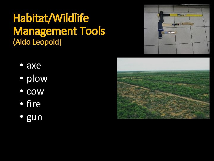 Habitat/Wildlife Management Tools (Aldo Leopold) • axe • plow • cow • fire •