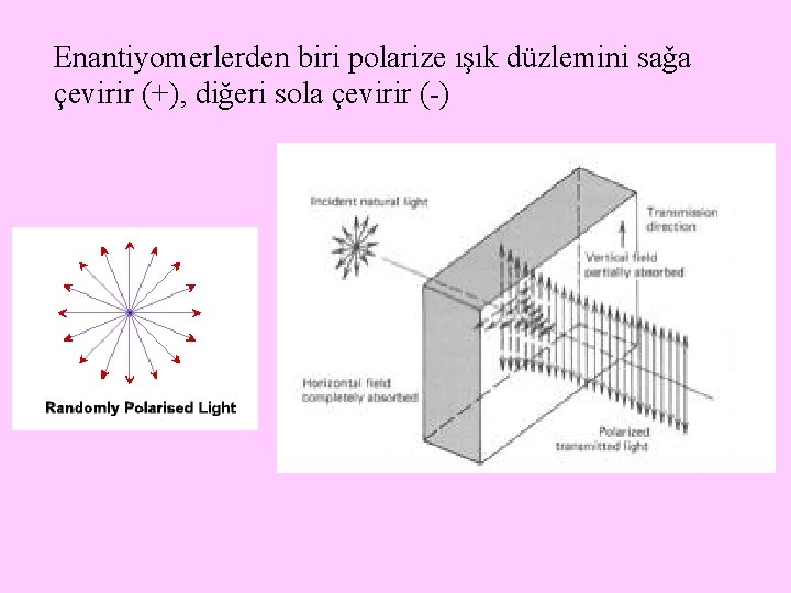 Enantiyomerlerden biri polarize ışık düzlemini sağa çevirir (+), diğeri sola çevirir (-) 