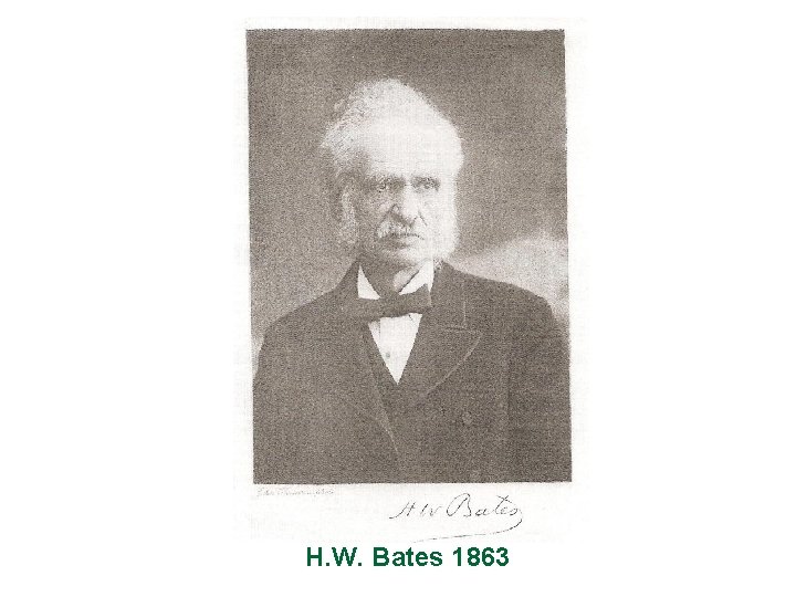H. W. Bates 1863 