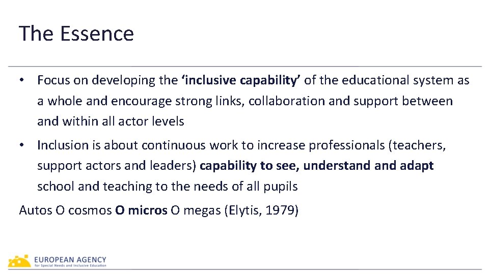 The Essence • Focus on developing the ‘inclusive capability’ of the educational system as