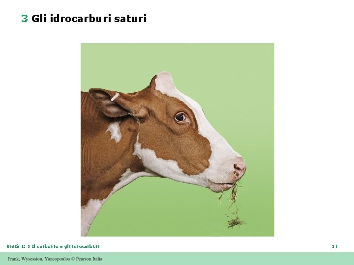3 Gli idrocarburi saturi Unità I: 1 Il carbonio e gli idrocarburi 11 