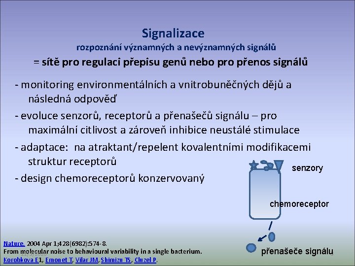 Signalizace rozpoznání významných a nevýznamných signálů = sítě pro regulaci přepisu genů nebo pro