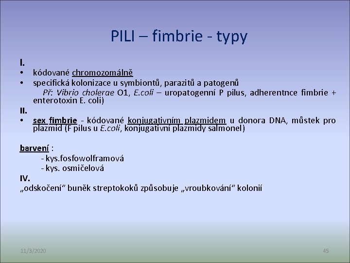 PILI – fimbrie - typy I. • kódované chromozomálně • specifická kolonizace u symbiontů,