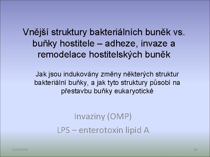 Vnější struktury bakteriálních buněk vs. buňky hostitele – adheze, invaze a remodelace hostitelských buněk