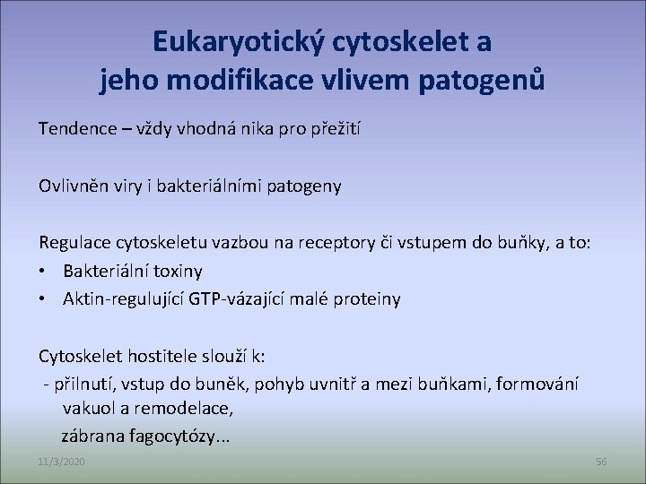 Eukaryotický cytoskelet a jeho modifikace vlivem patogenů Tendence – vždy vhodná nika pro přežití