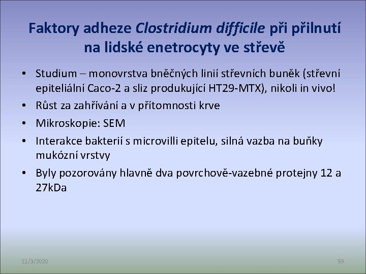 Faktory adheze Clostridium difficile přilnutí na lidské enetrocyty ve střevě • Studium – monovrstva