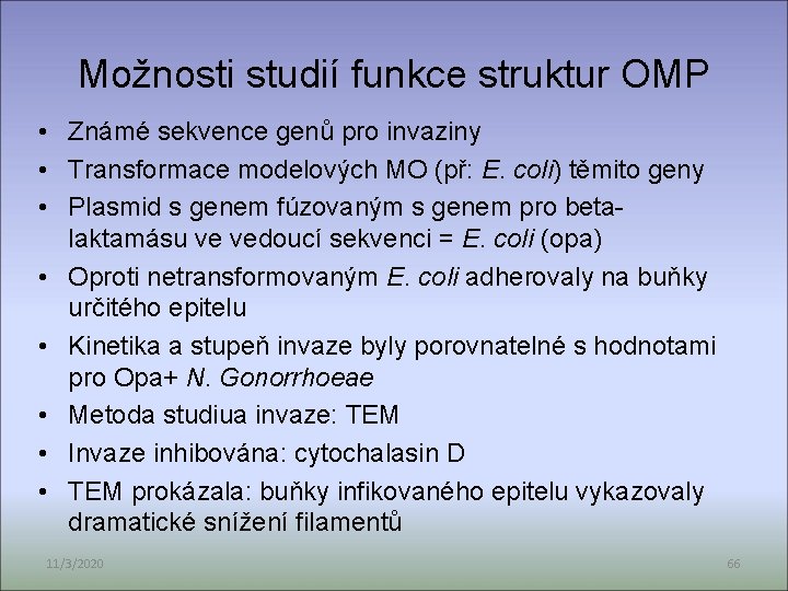 Možnosti studií funkce struktur OMP • Známé sekvence genů pro invaziny • Transformace modelových