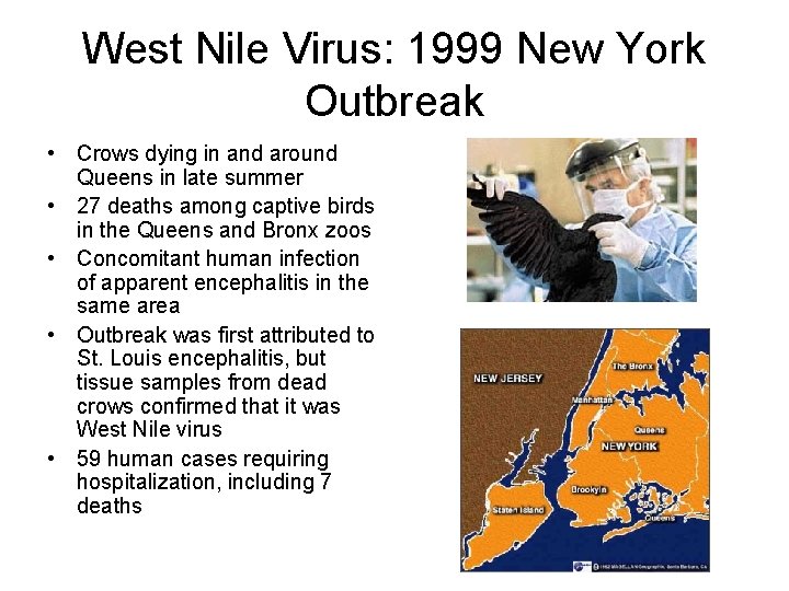 West Nile Virus: 1999 New York Outbreak • Crows dying in and around Queens