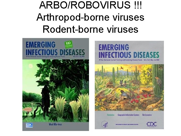 ARBO/ROBOVIRUS !!! Arthropod-borne viruses Rodent-borne viruses 