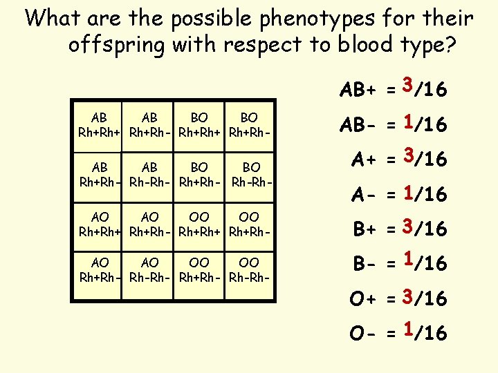 What are the possible phenotypes for their offspring with respect to blood type? AB+