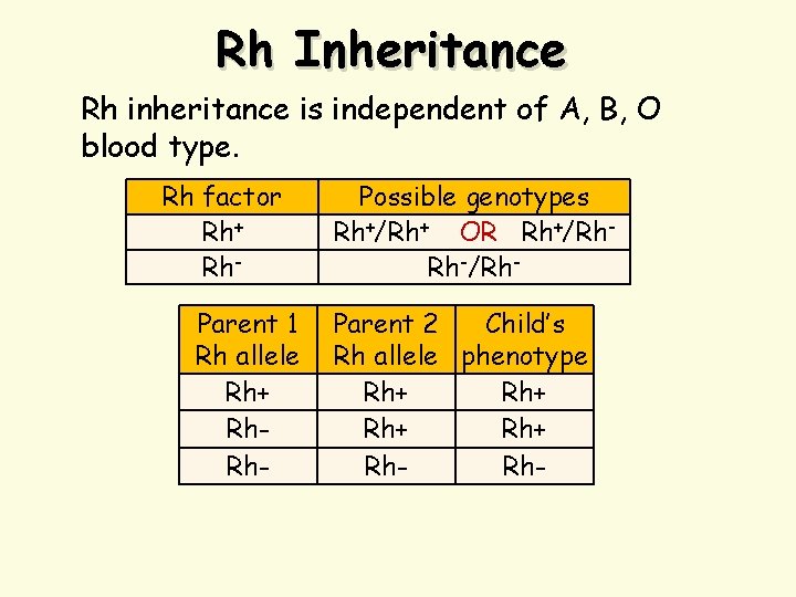 Rh Inheritance Rh inheritance is independent of A, B, O blood type. Rh factor