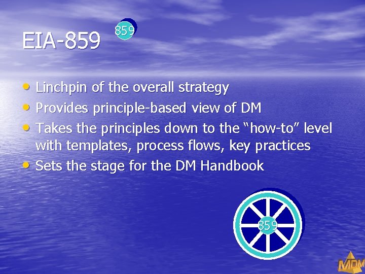 EIA-859 • Linchpin of the overall strategy • Provides principle-based view of DM •