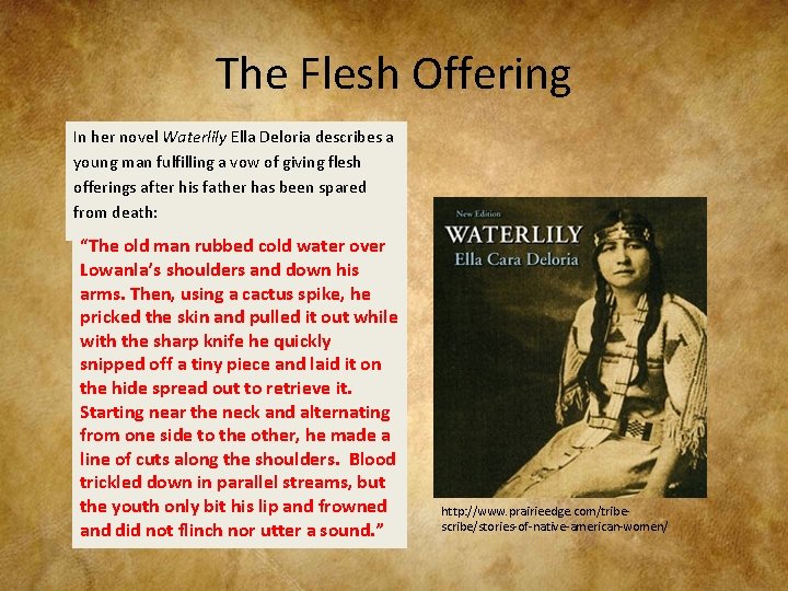 The Flesh Offering In her novel Waterlily Ella Deloria describes a young man fulfilling