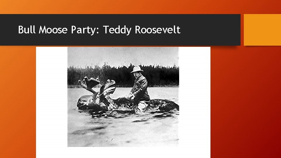 Bull Moose Party: Teddy Roosevelt 