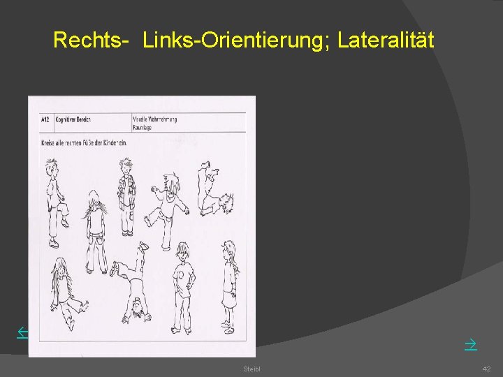 Rechts- Links-Orientierung; Lateralität Steibl 42 