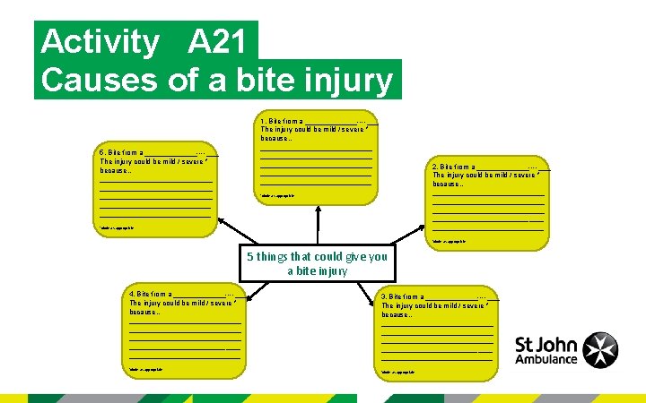 Activity A 21 Causes of a bite injury 5. Bite from a _______ The