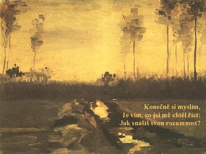 Konečně si myslím, že vím, co jsi mě chtěl říct: Jak snášíš svou rozumnost?