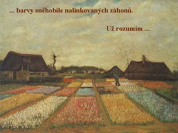 . . . barvy sněhobíle nalinkovaných záhonů. Už rozumím. . . 