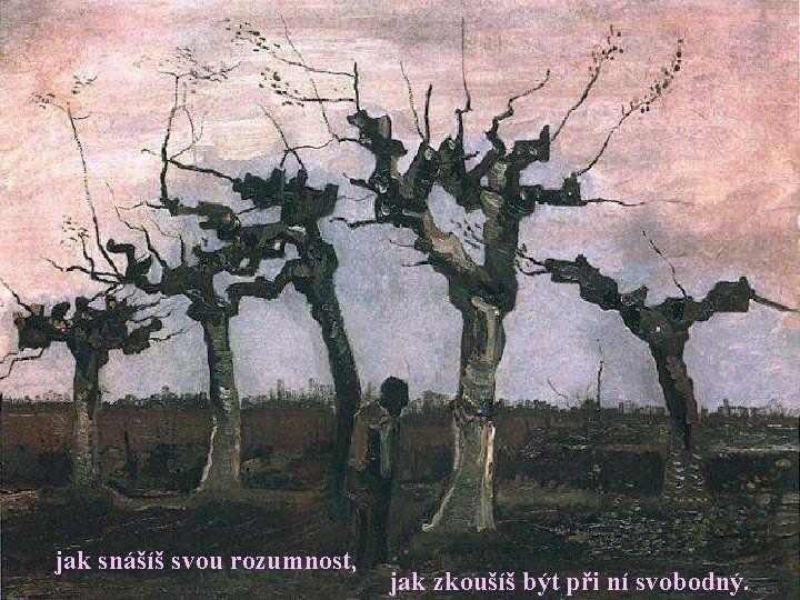 jak snášíš svou rozumnost, jak zkoušíš být při ní svobodný. 