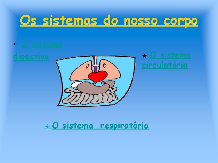 Os sistemas do nosso corpo • O sistema digestivo O O sistema circulatório ★