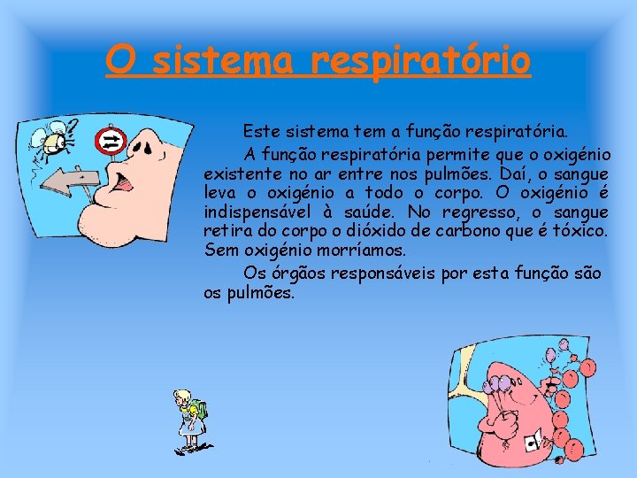O sistema respiratório Este sistema tem a função respiratória. A função respiratória permite que