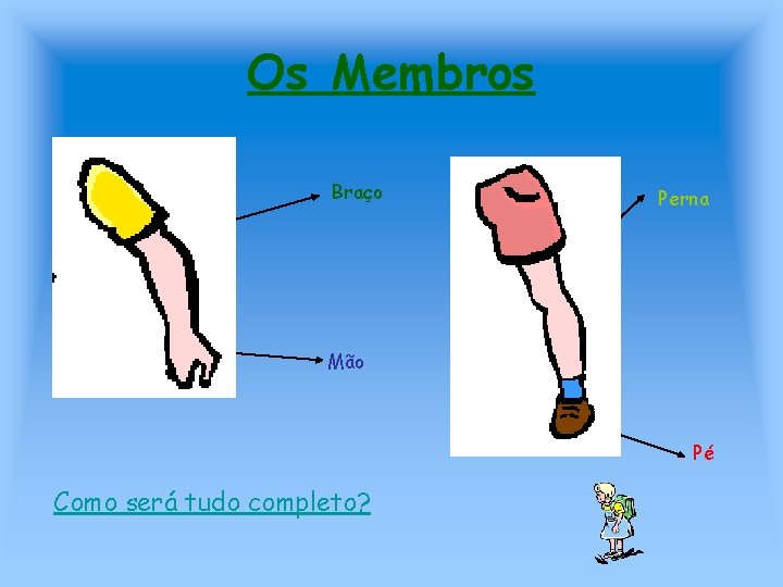 Os Membros Braço Perna Mão Pé Como será tudo completo? 