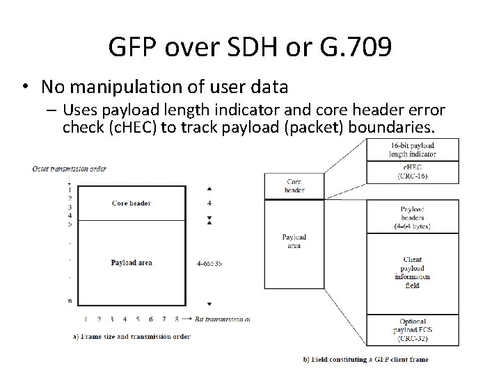 GFP over SDH or G. 709 • No manipulation of user data – Uses