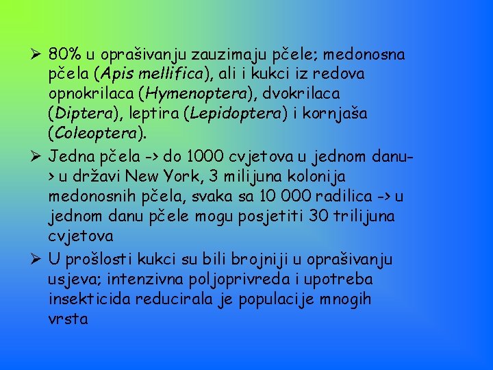 Ø 80% u oprašivanju zauzimaju pčele; medonosna pčela (Apis mellifica), ali i kukci iz