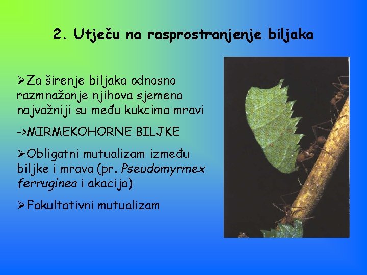 2. Utječu na rasprostranjenje biljaka ØZa širenje biljaka odnosno razmnažanje njihova sjemena najvažniji su