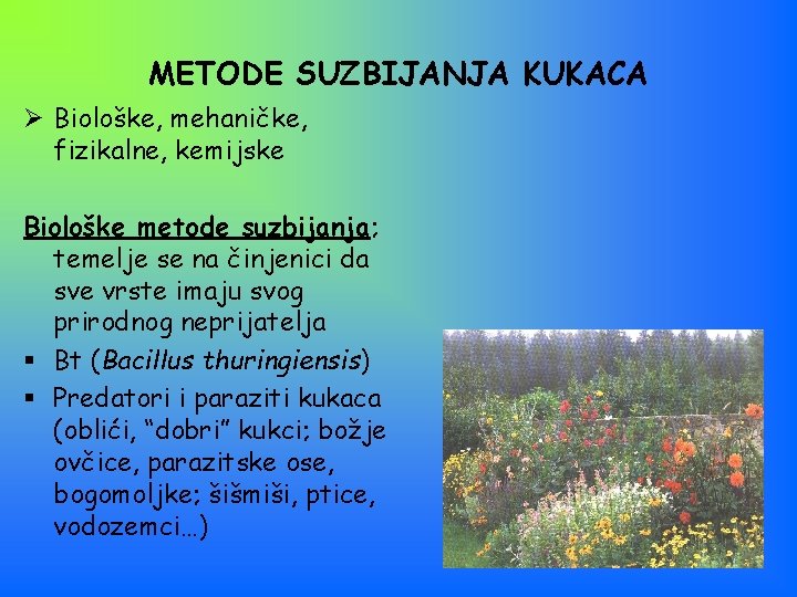 METODE SUZBIJANJA KUKACA Ø Biološke, mehaničke, fizikalne, kemijske Biološke metode suzbijanja; temelje se na