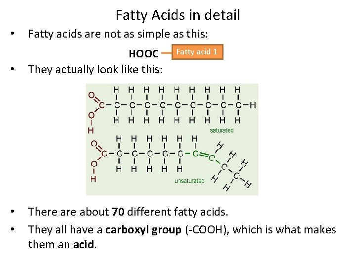 Fatty Acids in detail • Fatty acids are not as simple as this: •