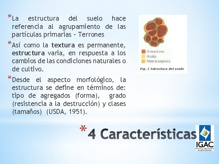 *La estructura del suelo hace referencia al agrupamiento de las partículas primarias – Terrones