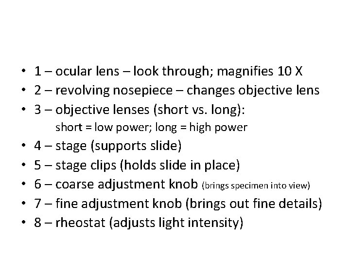  • 1 – ocular lens – look through; magnifies 10 X • 2