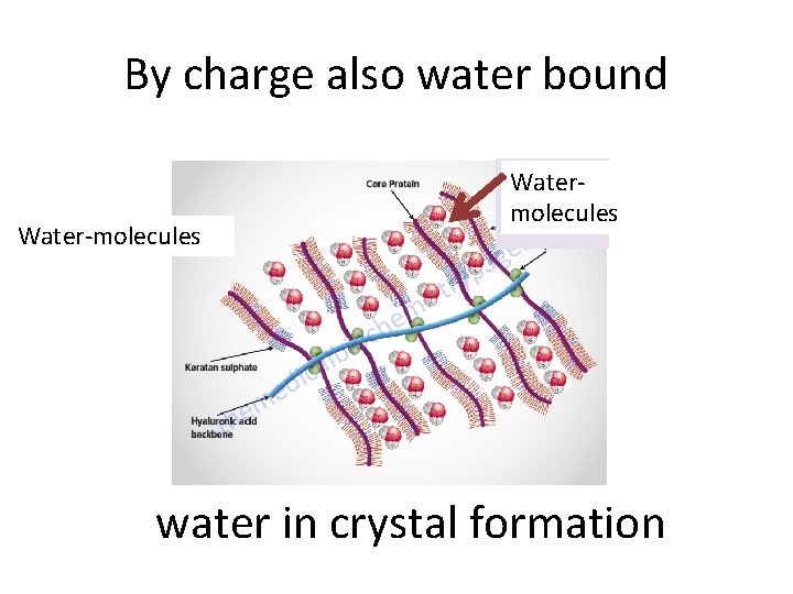 By charge also water bound Water-molecules Watermolecules water in crystal formation 