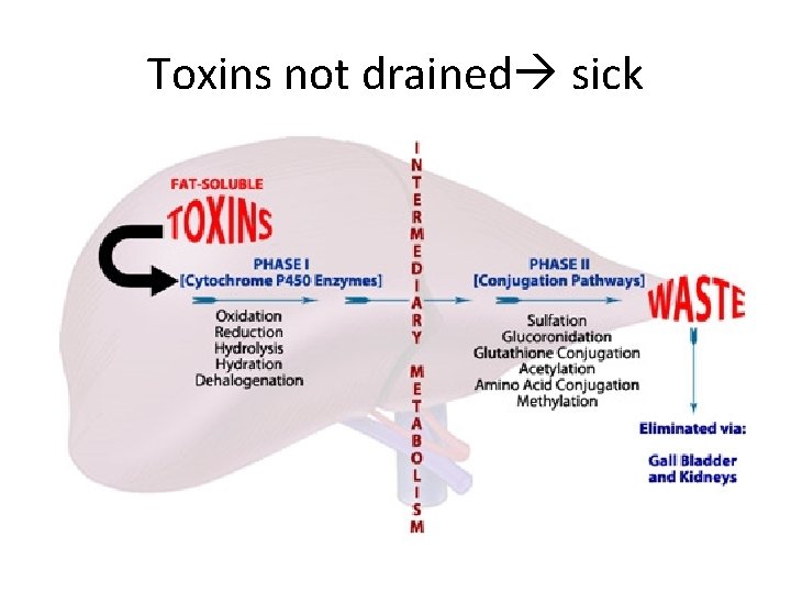 Toxins not drained sick 