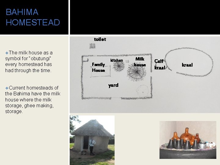 BAHIMA HOMESTEAD toilet v. The milk house as a symbol for “obutungi” every homestead